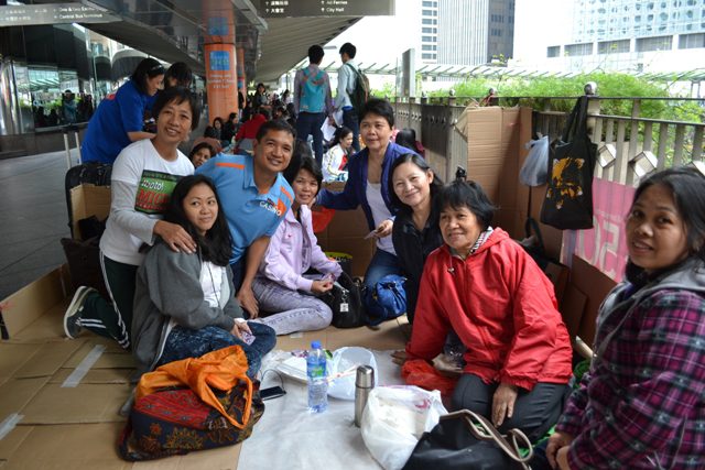 teddy in hk (4)