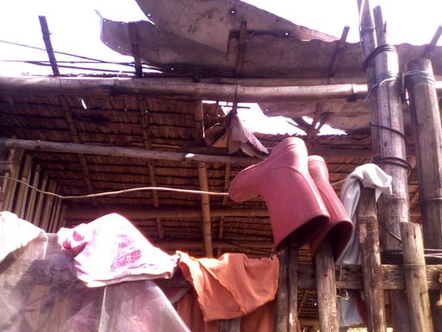 yolanda-negros-bycdrc-6