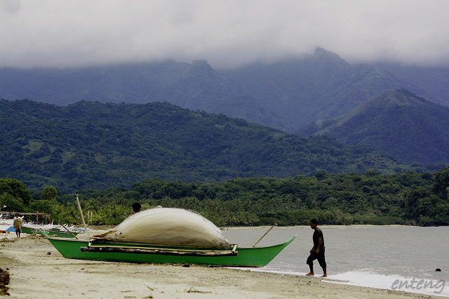 The forest ecosystem in Mt. Lobo in Batangas, one of the few remaining forest areas in the country, nourishes and sustains the inter-linked megadiverse marine ecosystem of the Verde Island Passage. (Photo by Clemente Bautista / Bulatlat.com)
