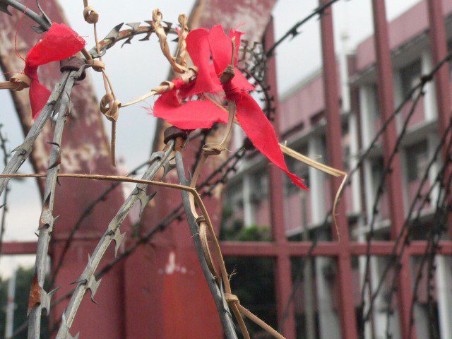 A kodaw with red cloth on a concertina wire at Mendiola (Photo by D. Ayroso)