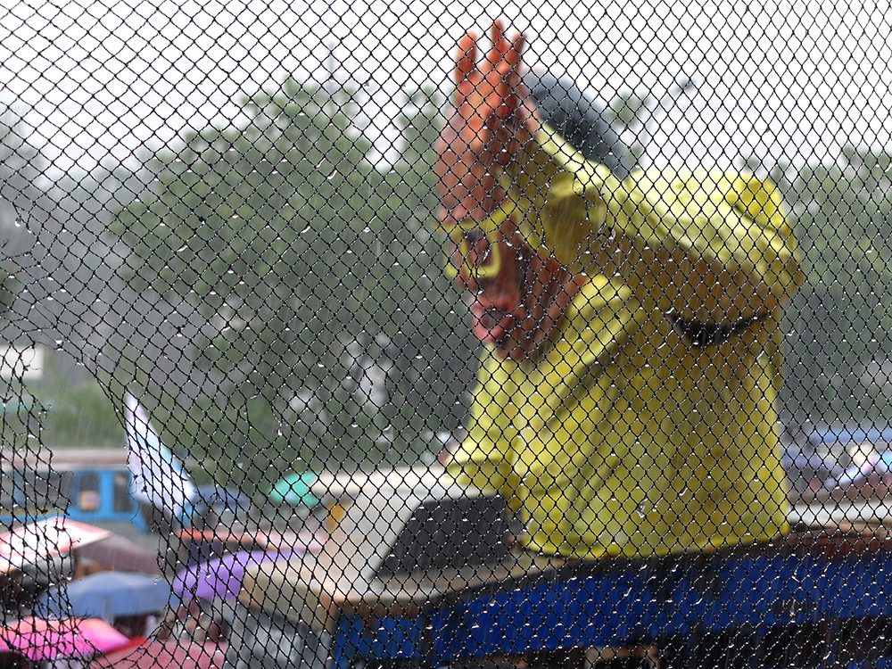 effigy-noynoy-byrbv-8
