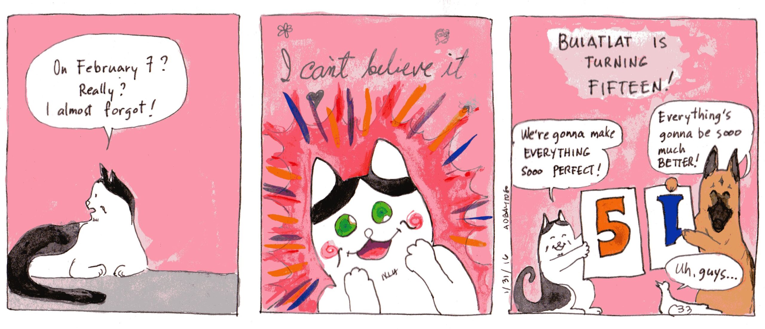 Purrfect@15