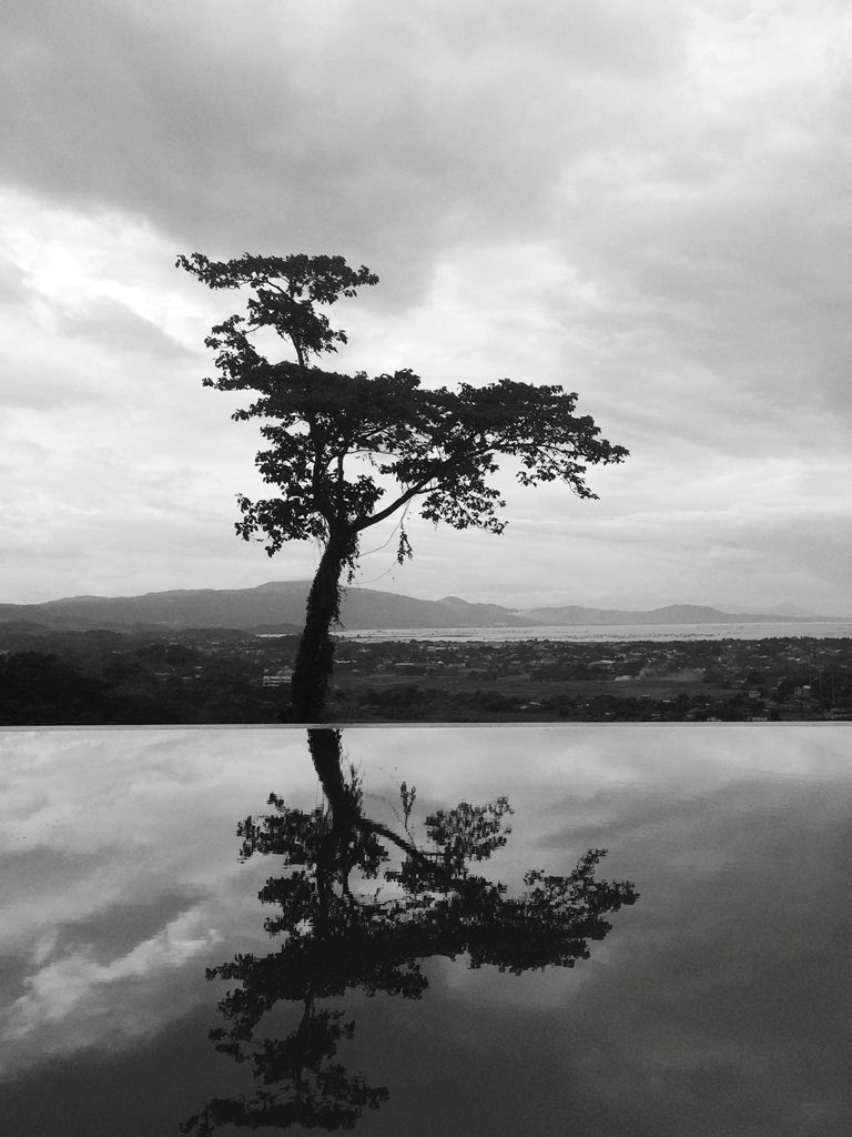 This solitary tree's shadow turns an infinity pool into a reflection pool instead. (Baras, Rizal)