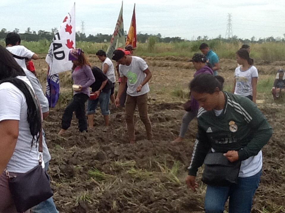 Bungkalan participants push the soil with their feet to cover the corn seeds (Photo by Dee Ayroso/Bulatlat)