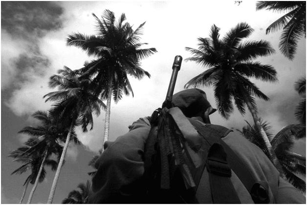 A guerilla stands under the coconut trees (Bulatlat photo)