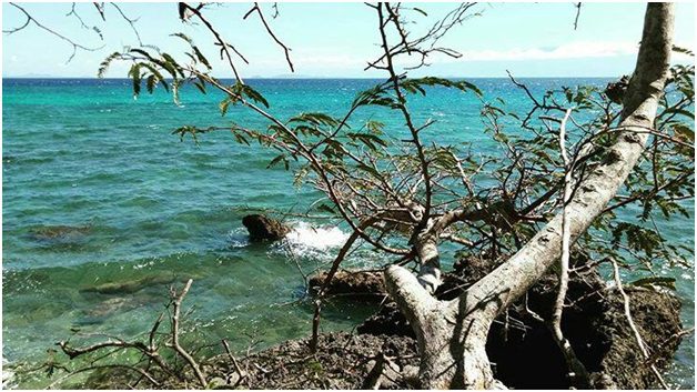 Rocks and coral formations can be seen under the the Sawang Olo-ol Fish Sanctuary and Refuge Area (Photo by Clemente Bautista Jr/Bulatlat)