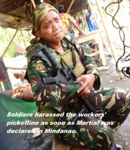 shinsun_milin_picket_carlOlalo_wblurb