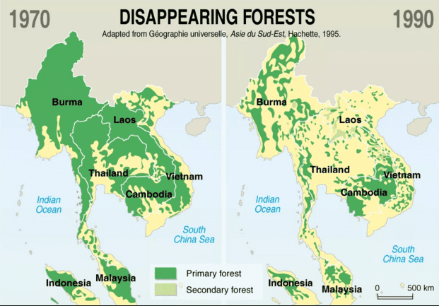 forest