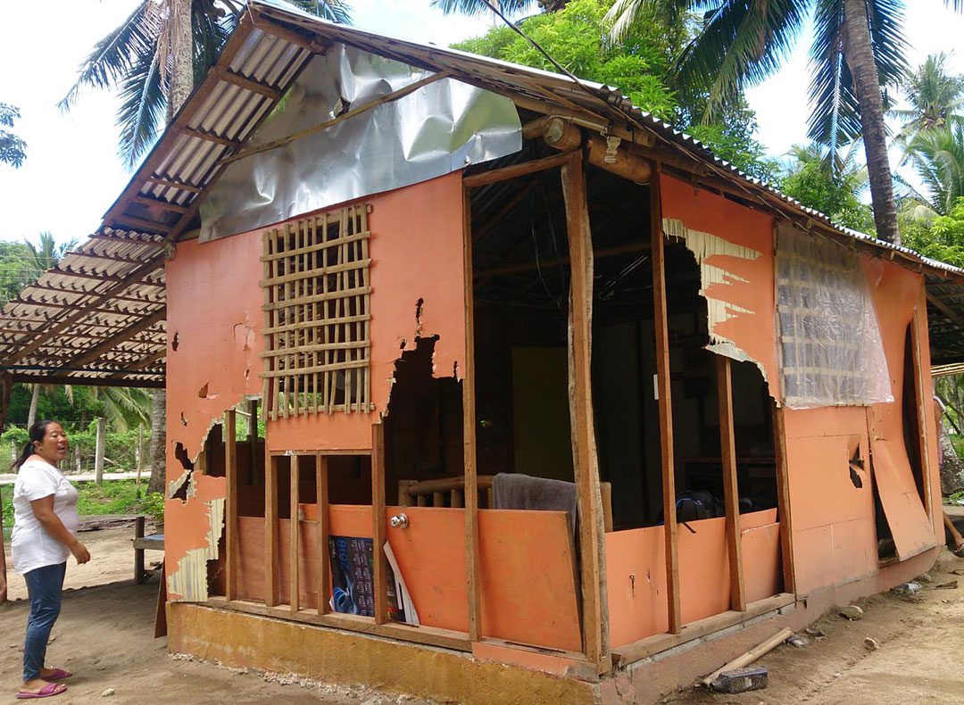 laiya-demolition