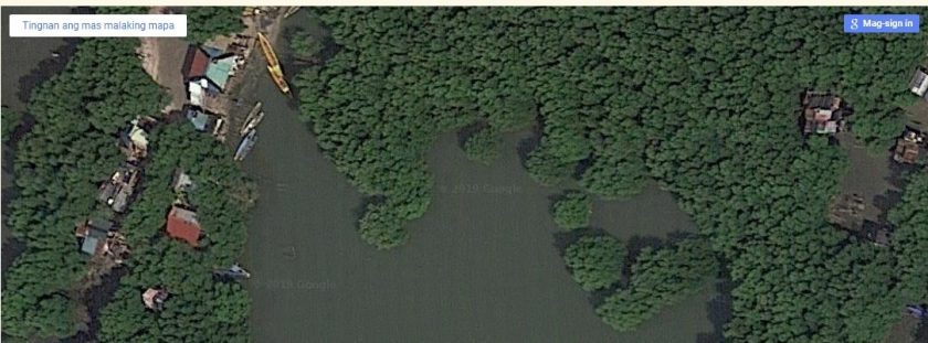 Mangroves