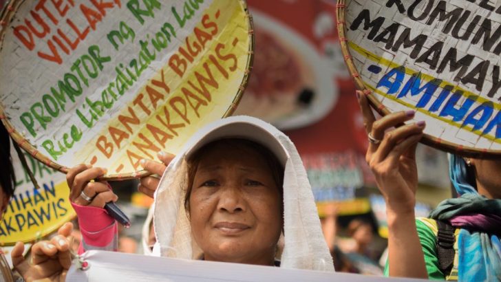 World biggest rice importer? Peasant group renews call to junk liberalization law