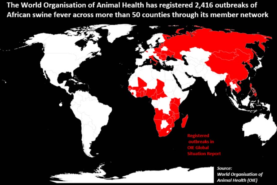 outbreaks WHO