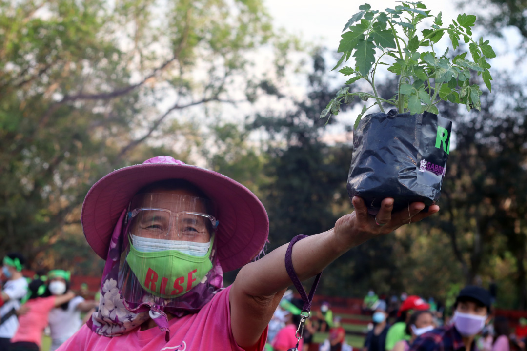 OBR2021_plantita