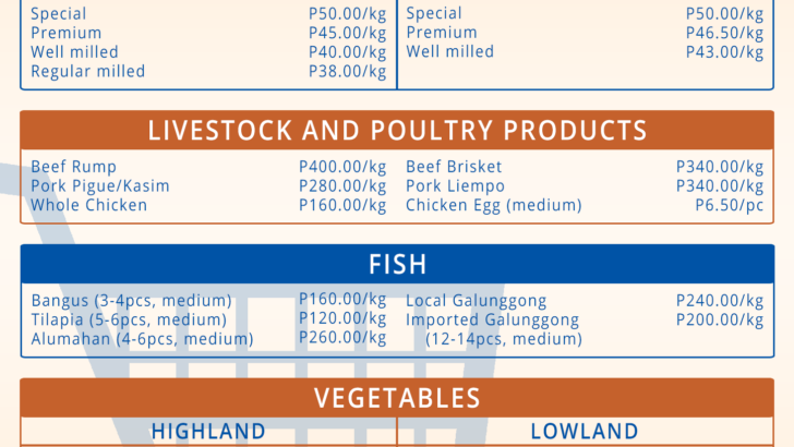 Market Watch | Agri stakeholders urge gov’t to support Filipino farmers amid massive smuggling, importation issues