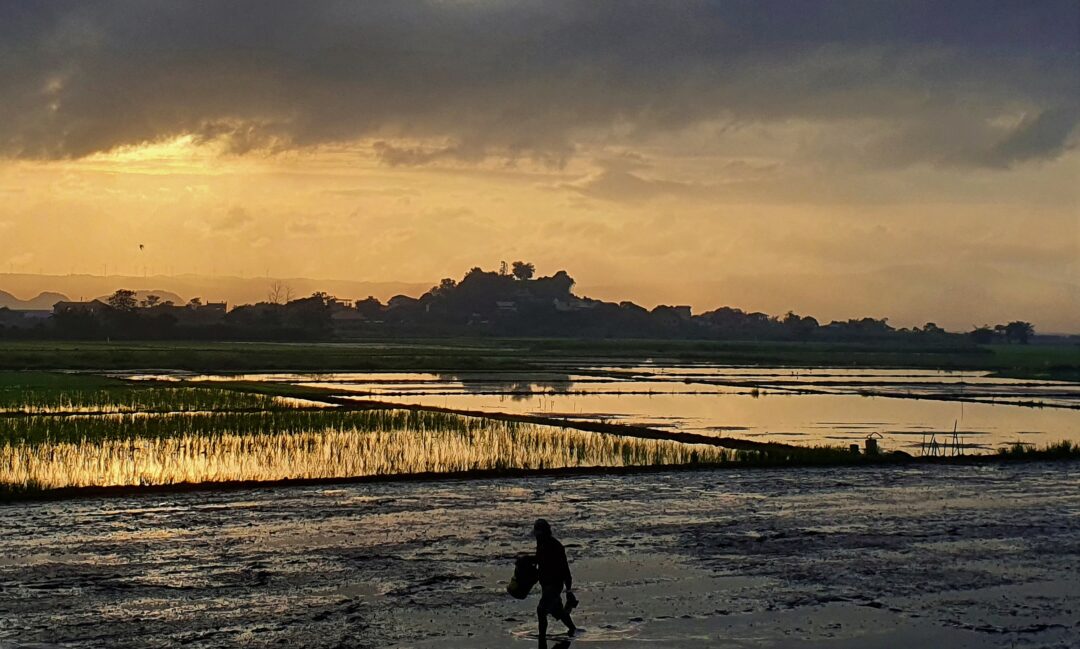 Farmer in Morong