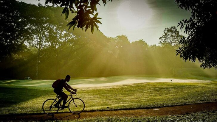 Sunrise and a bike commuter