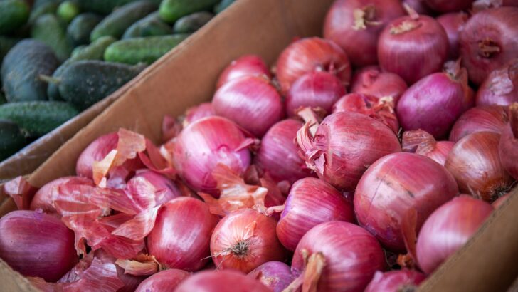 As onion prices soar, gov’t urged to invest on cold storage facilities