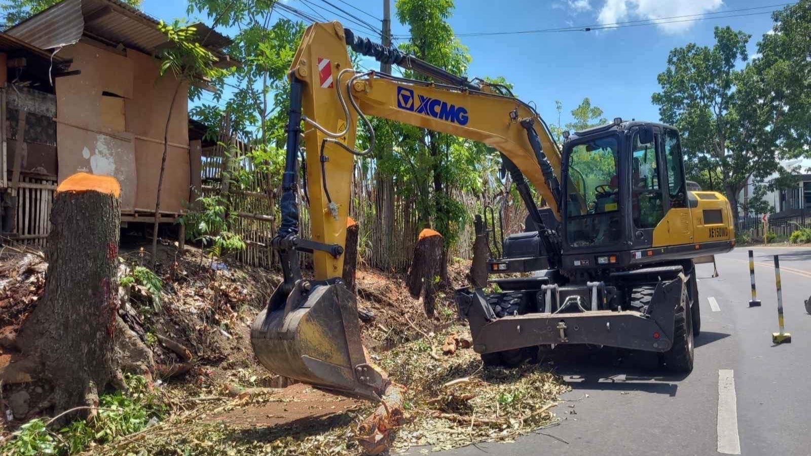 Backhoe cuts trees