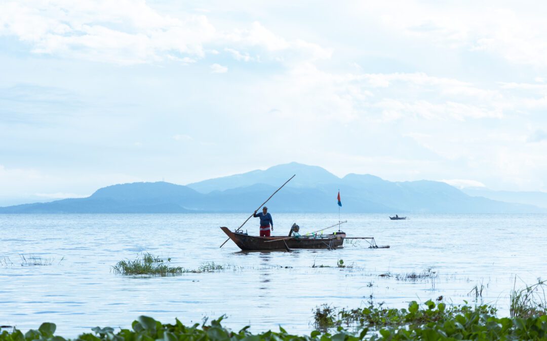Homebound with a catch