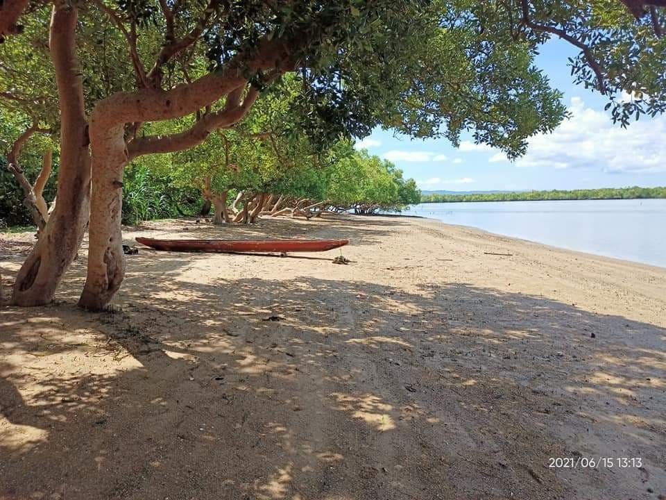 save gubay bay movement page