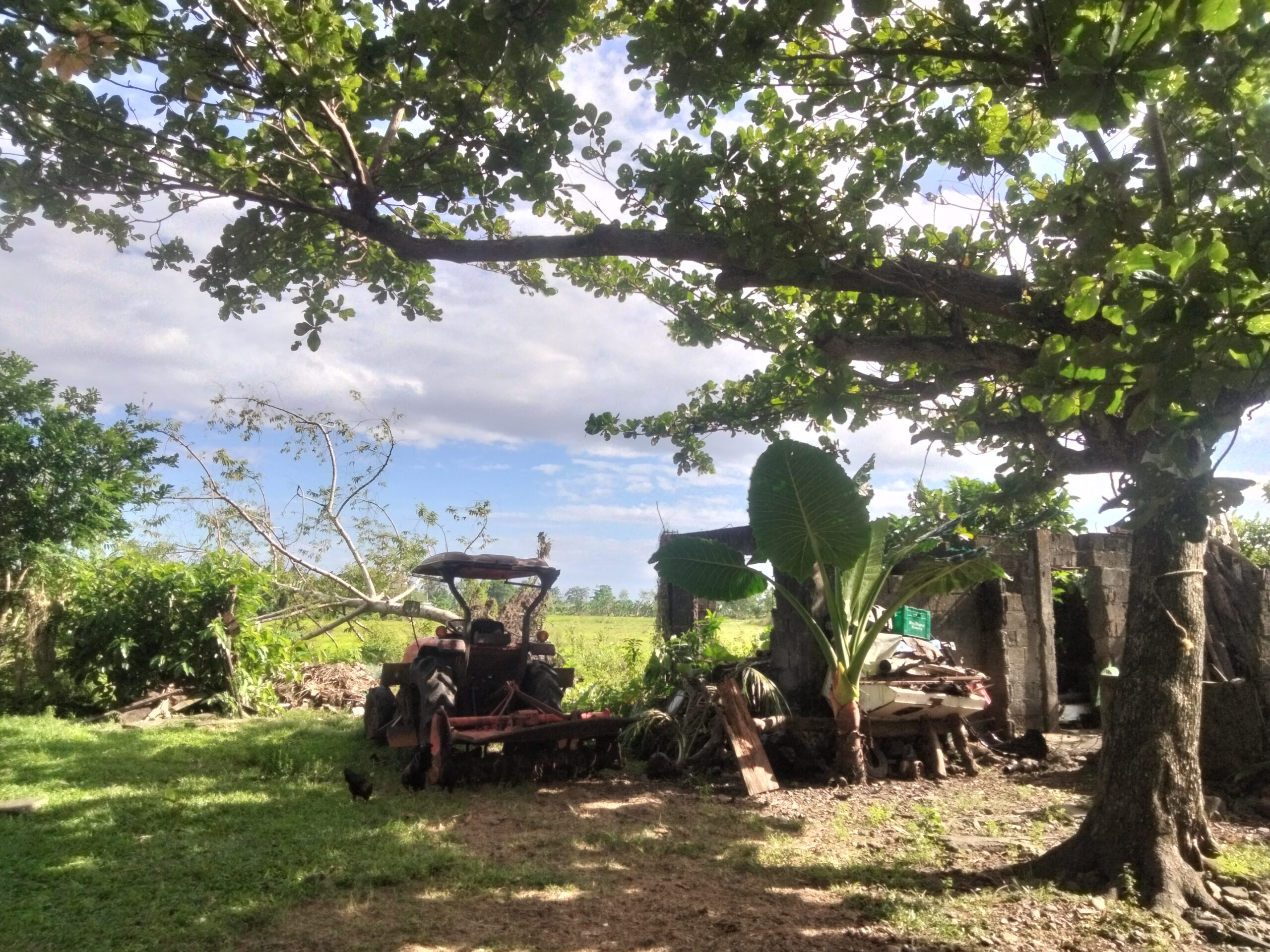 Claiming the Land: Kilusang Magbubukid ng Bicol provides assistance to affected farmers and members of the local peasant group in Bula, Camarines Sur. (Photo By Reynard Magtoto/Bulatlat)