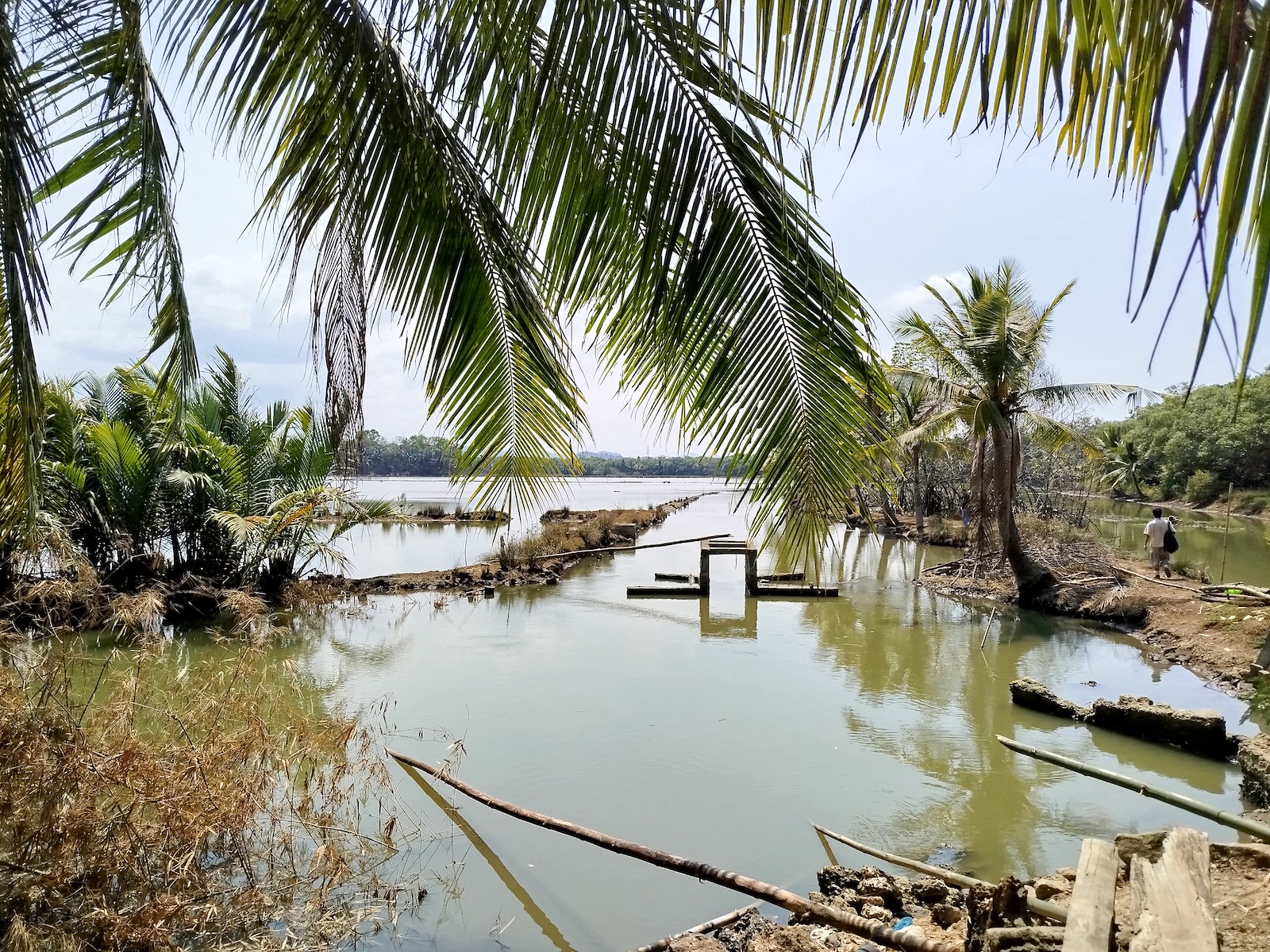20210521_sitio plaringding_Photo by Anne Marxze Umil