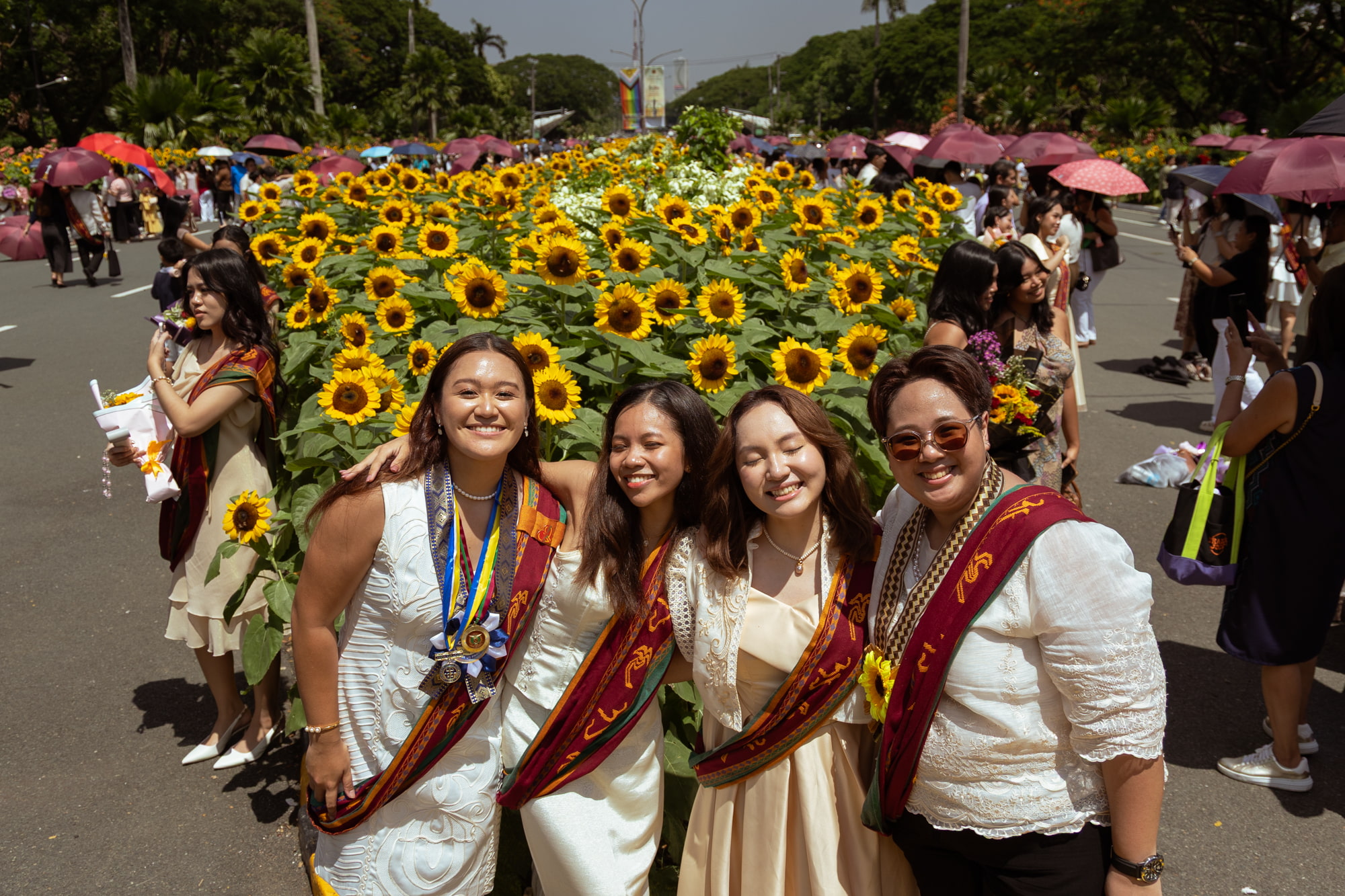 Sunflower and sablay